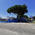 Las Olas Carpe Diem Marbella